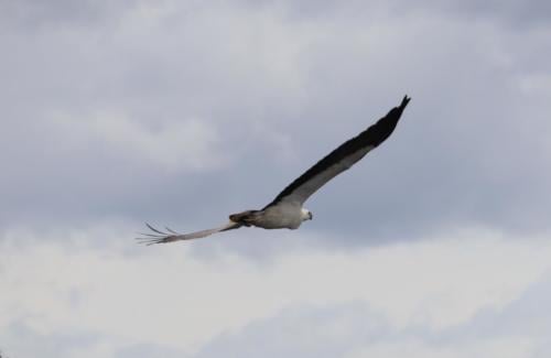 IMG 1149 crop